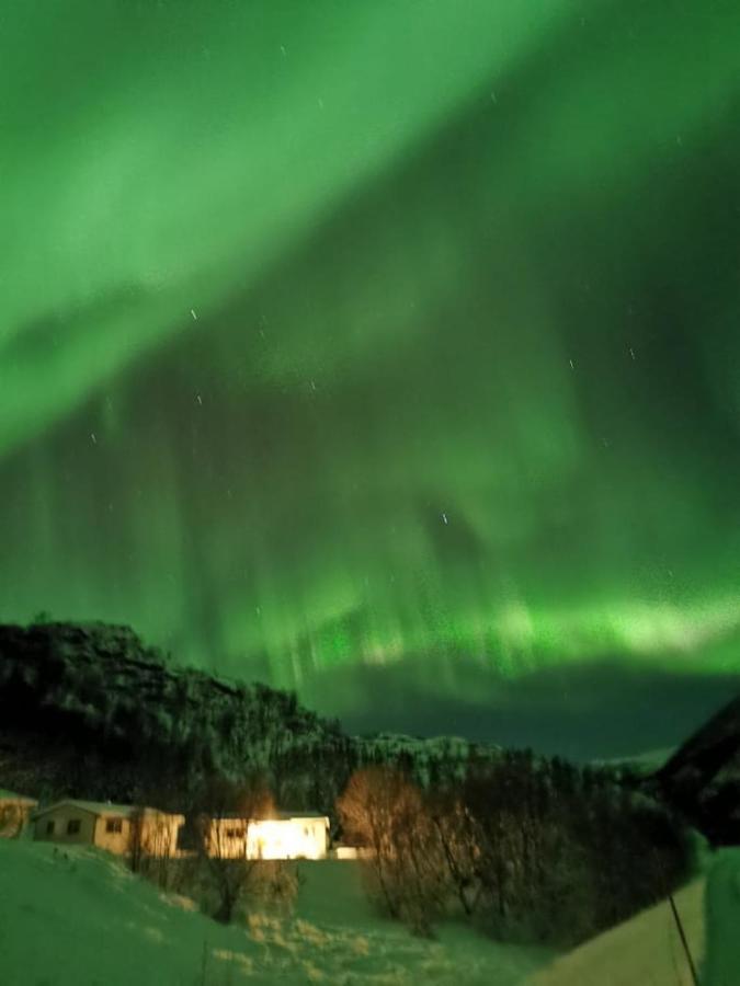 Skjellbogen Hyttegrend Sortland Exterior photo